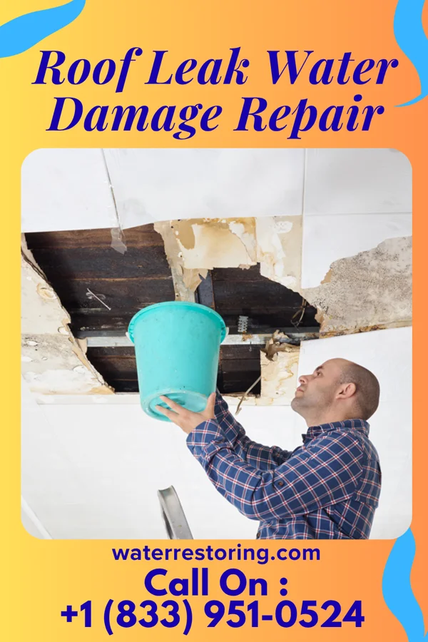 Roof Leak Water Damage Repair in McKinney Acres, TX