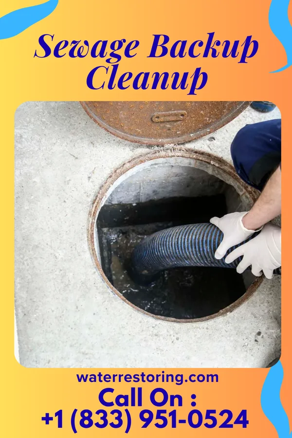Sewage Backup Cleanup in McKinney Acres, TX